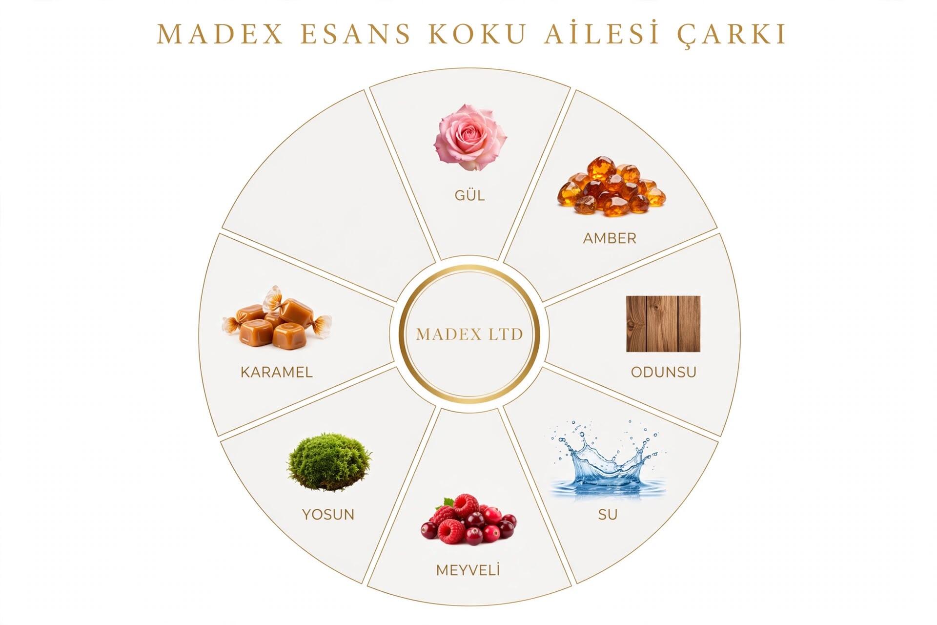 Koku Aileleri Rehberi / Esans Eğitim İçeriği